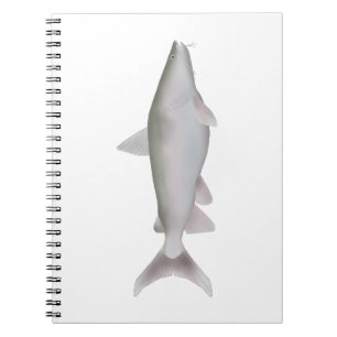 Carnet Cobbler Argent