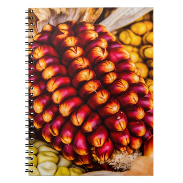 Carnet Cobs de maïs (Devant)