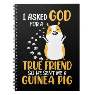 Carnet Cochon d'Inde est un véritable ami
