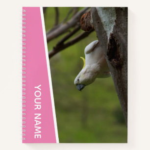 Carnet Cockatoo Australie Perroquet à l'envers, rose drôl
