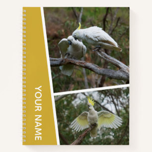 Carnet Cockatoo Australie Perrot Bird Photo Collage Or