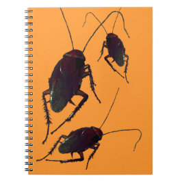 Carnet Cockroach croquant