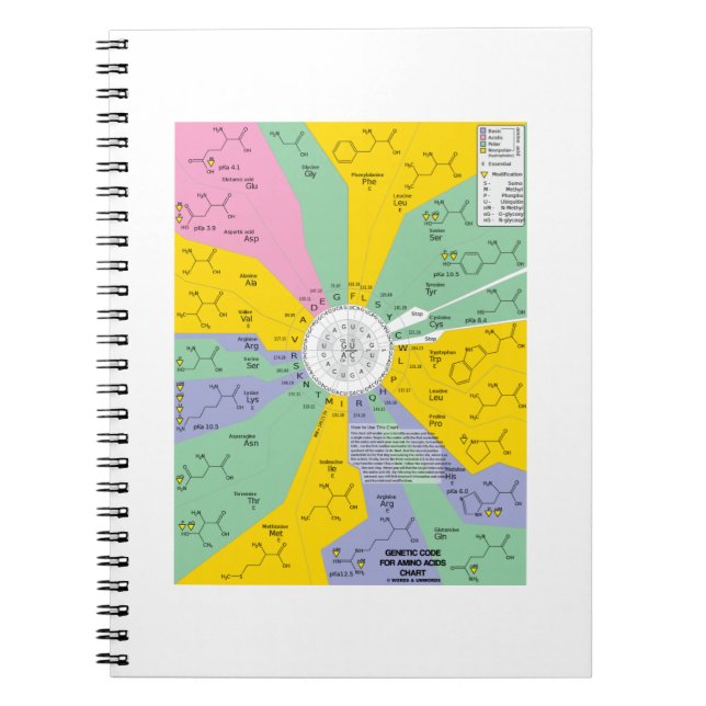 Carnet Code Génétique Pour Les Acides Aminés (Roue Graphi (Devant)