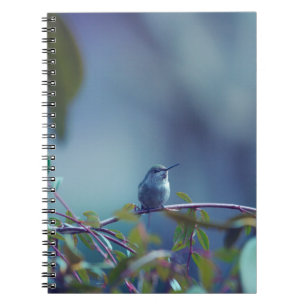 Carnet Colibri 5738