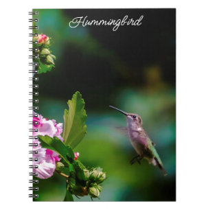 Carnet Colibri à gorge rubis - Photo originale