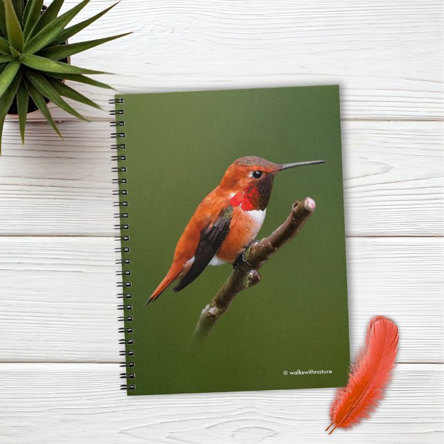 Carnet Colibri roux étonnant sur la branche cerise (Stunning Rufous Hummingbird on the Cherry Tree Journal Cover Photo)