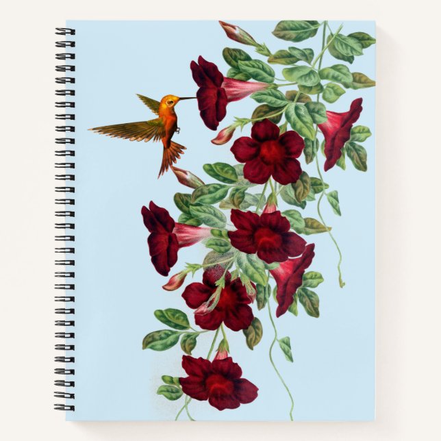 Carnet Colibri sur les fleurs de Mandevillea Rouge (Devant)