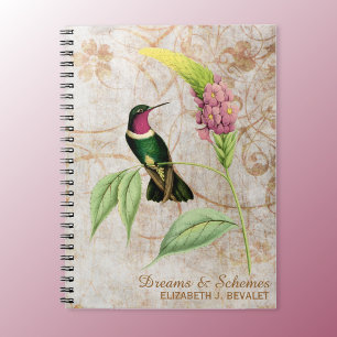 Carnet Colibri Throated d'améthyste