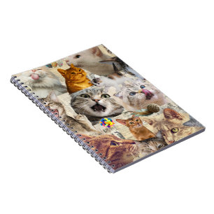 Carnet Collage de chats et de jouets