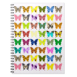 Carnet Collage de papillon