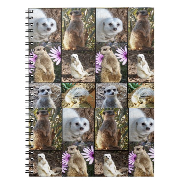 Carnet Collage photo de Meerkat, (Devant)