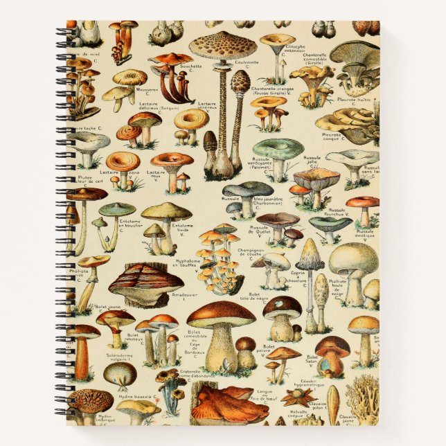 Carnet Collection de champignons (Devant)