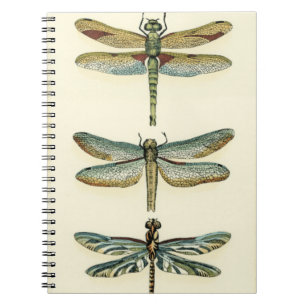 Carnet Collection de libellule par Chariklia Zarris