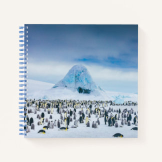 Carnet Colonie de l'empereur Penguin