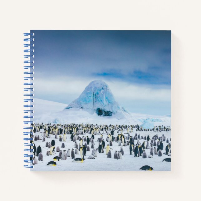 Carnet Colonie de l'empereur Penguin (Devant)