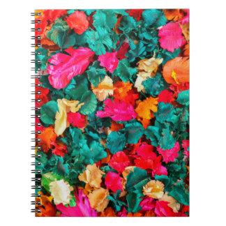 Carnet Coloré de fleurs séchées spotpourri, arôme, aromèt