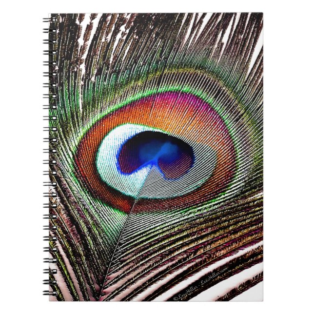 Carnet Colorful Copper Peacock Feather (Devant)