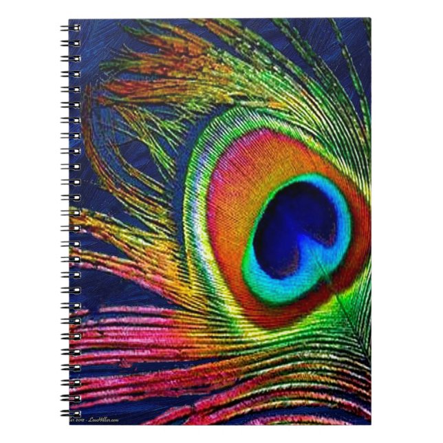 Carnet Colorful Peacock Feather (Devant)