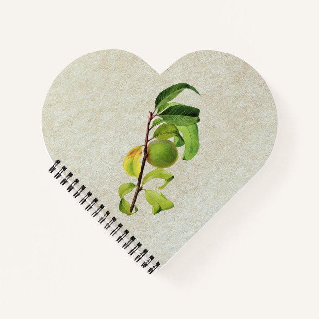 Carnet Composition personnalisée d'une Pêche imparfaite (Devant)