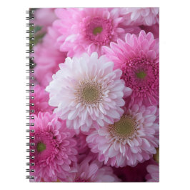 Carnet Conception artistique MS