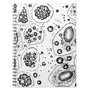 Carnet Conception cellulaire