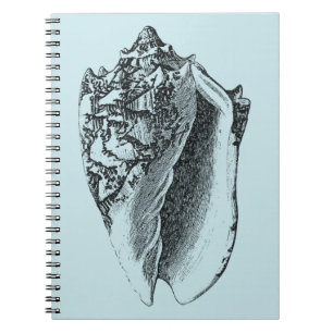 Carnet Conque Shell d'Aqua