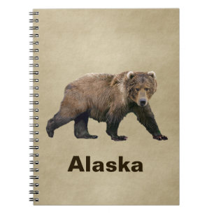 Carnet Cook bear