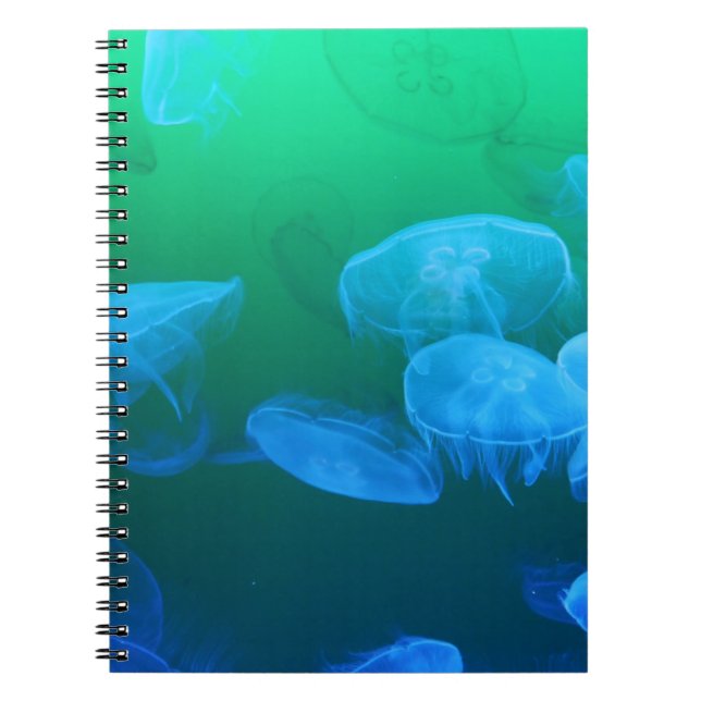 Carnet Cool Jellyfish Green Blue Gradient (Devant)