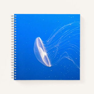 Carnet Cool méduse Tentacles Bleu clair Eau