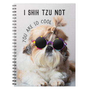 Carnet Cool Shih Tzu Pas amusant Lunettes de soleil migno