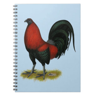 Carnet Coq Rouge Noir BB Jeu Américain