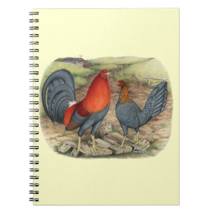 Carnet Coqs Américains Bleus Rouges