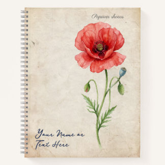 Carnet Coquelicot Renaissance Vintage Papaver rhoeas