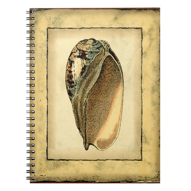 Carnet Coquillage Vintage rustique (Devant)