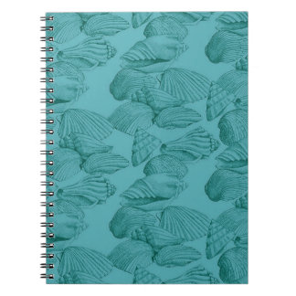 Carnet Coquillages à Aqua