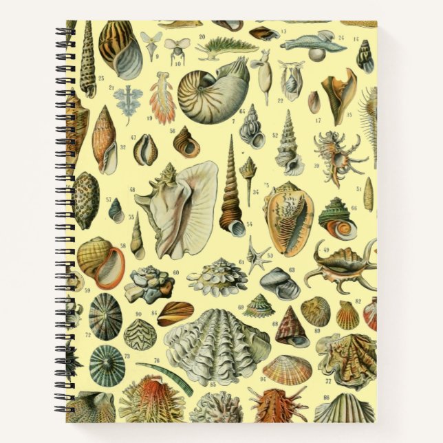 Carnet Coquillages de coquillages Mollusk Clam Élégant Ar (Devant)