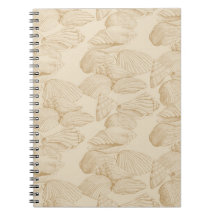 Coquillages en beige