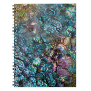 Carnet Coquille de mer en abalone iridescent arc-en-ciel
