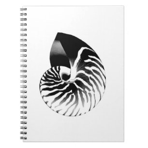 Carnet Coquille de Nautilus - noir, gris et blanc