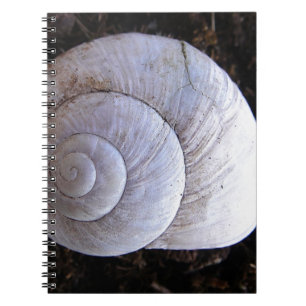 Carnet Coquille d'escargot cool