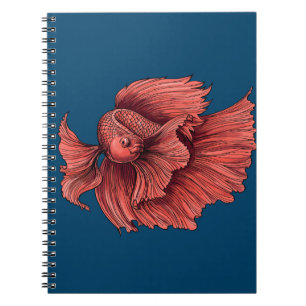Carnet Coral Siamese combat le poisson