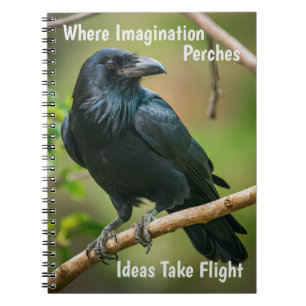 Carnet Corbeau sur une branche d'arbre