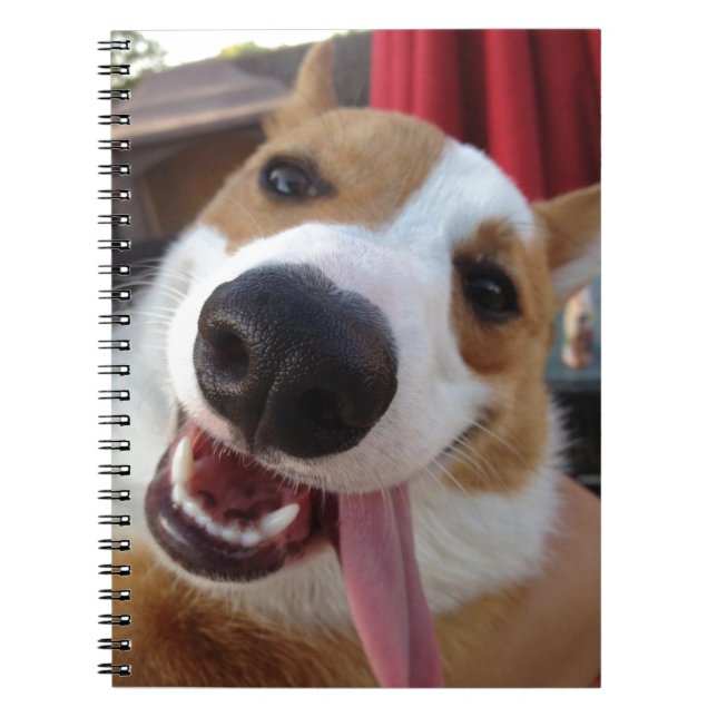 Carnet Corgi rouge et blanc de Gallois de Pembroke (Devant)