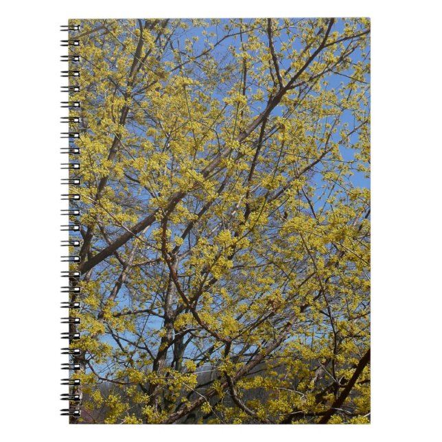 Carnet Cornelian Cherry (Devant)