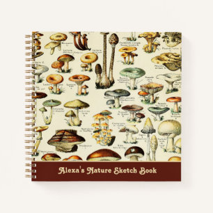 Carnet Cottagecore Champignons Naturaliste Vintage