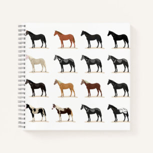 Carnet couleur des cheveux
