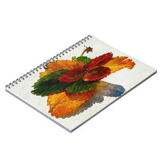 Carnet Couleurs colorées des feuilles d'automne