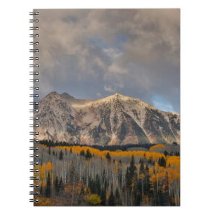 Carnet Couleurs d'automne des peupliers trembles, Keebler