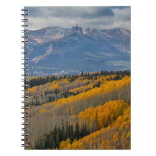 Carnet Couleurs d'automne sur les bosquets de trembles