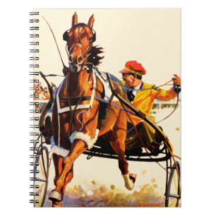 Carnet Course de harnais